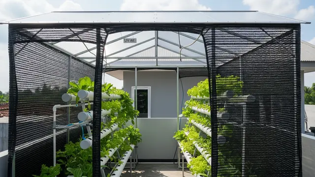 Kebun Hidroponik di Atap Rumah