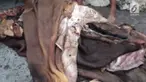 Pengepul kulit hewan kurban panen rejeki di hari raya Idul Adha. Banyak warga dan pengurus masjid yang menjual kulit hewan kurban seperti kambing dan sapi.