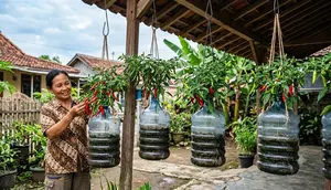 8 Ide Galon Bekas untuk Menanam Cabai Gantung, Hemat Lahan dan Estetik