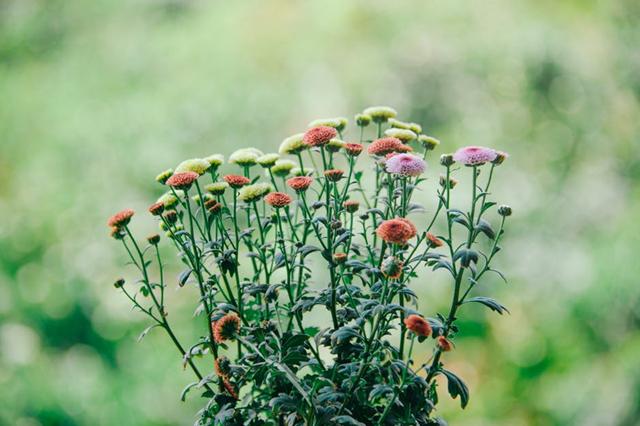 Kesibukan memperlebar jarak./Copyright pexels.com