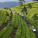 82 Mobil Off-Road Jelajahi Jawa Tengah, Ada Misi yang Tak Biasa