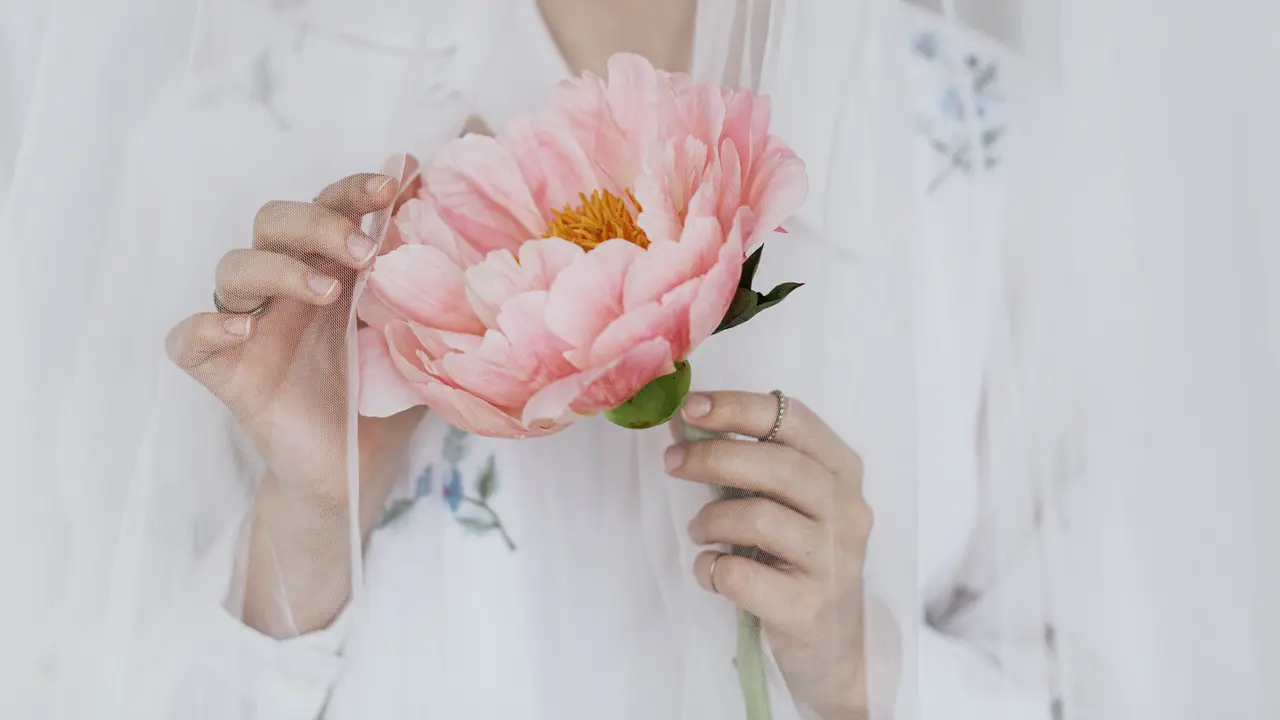 bridezilla dan dispensasi  menikah