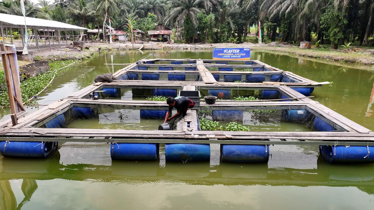 Ekonomi Desa Empang Baru Kabupaten Siak Kian Menggeliat Berkat Dukungan BRI