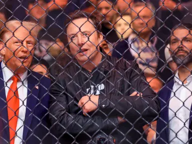 Presiden terpilih Amerika Serikat (AS), Donald Trump (kiri) bersama CEO Tesla dan SpaceX Elon Musk, dan Donald Trump Jr menyaksikan pertarungan dalam UFC 309 di Madison Square Garden, New York, pada 16 November 2024. (Kena Betancur/AFP)