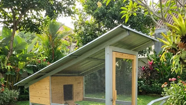 Desain Kandang Ayam Tanpa Terlihat Kumuh