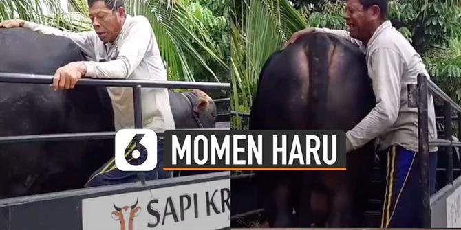 VIDEO: Momen Haru Perpisahan Pria dan Hewan Ternaknya yang Dijual