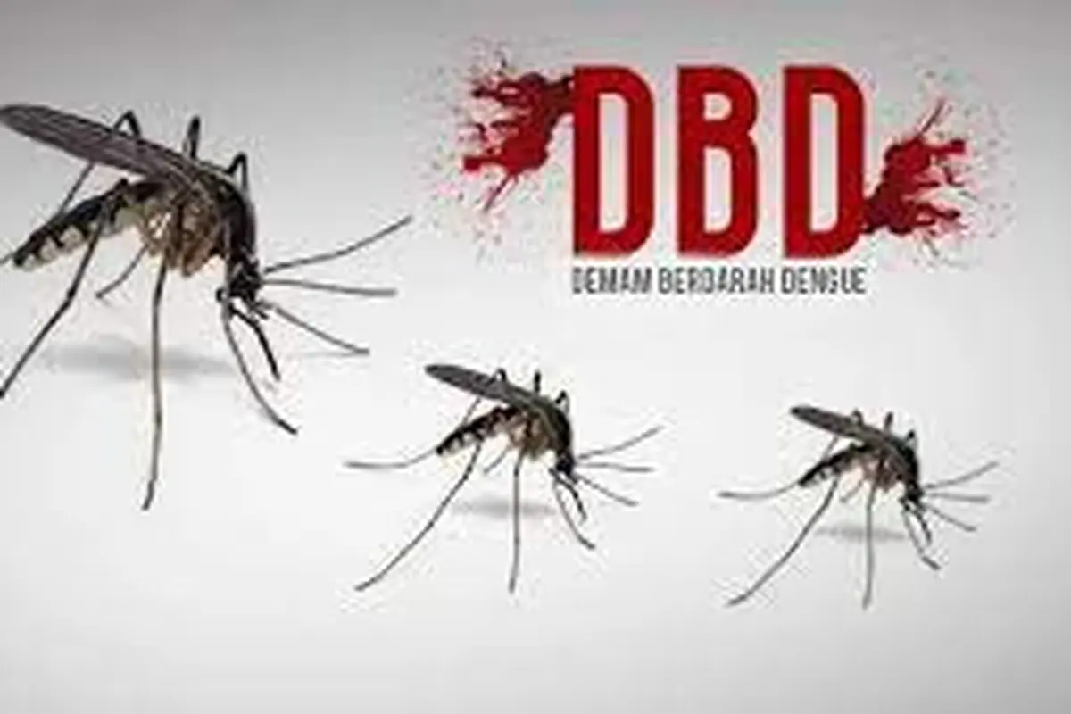 Ilustrasi Kasus DBD di Situbondo (Istimewa)