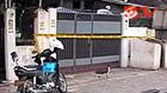 liputan6