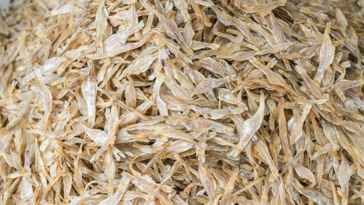 10 Manfaat Teri Nasi bagi Kesehatan Tubuh, Kaya Omega 3 dan Zat Besi
