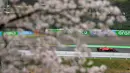 Pembalap Ferrari, Charles Leclerc terlihat melewati pohon sakura saat melakukan latihan bebas pertama (FP1) F1 GP Jepang 2024 di Sirkuit Suzuka, Jepang, Jumat (05/04/2024). (AFP/Yuichi Yamazaki)