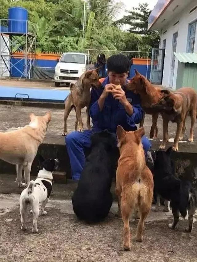 7 Momen Nyeleneh Orang Manjakan Hewan Peliharaan Ini Kocak Banget