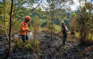 Luasn Gunung Semeru yang Terbakar, Api Padam Seluruhnya