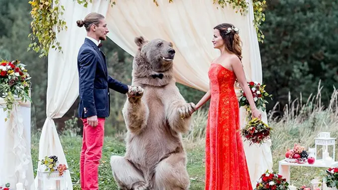Photo: Copyright dailymail.co.uk