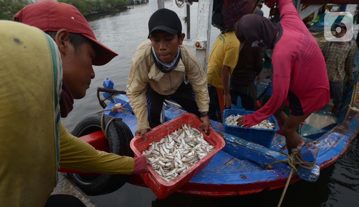 Nelayan tradisional menurunkan hasil tangkapan ikan di Pelabuhan Muara Angke, Jakarta, Sabtu (19/2/2022). Nelayan mengatakan hasil tangkapan ikan mulai membaik seiring pergantian musim dan angin barat. (merdeka.com/Imam Buhori)