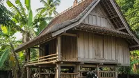 Ternak Kambing vs Ayam Kampung Mana Lebih Stabil? Analisis Risiko dan Modal
