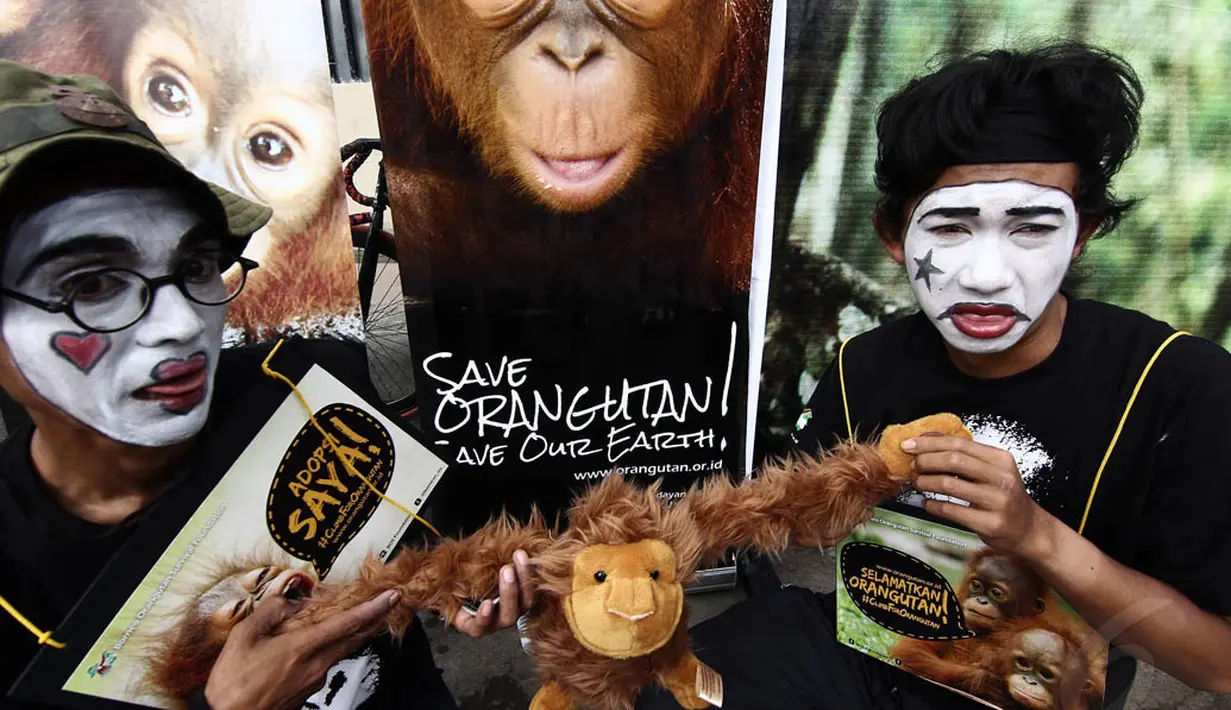 Aksi sosialisasi penyelamatan hewan orangutan Indonesia di Jalan Sudirman, Jakarta Pusat, Minggu (30/11/2014).(Liputan6.com/Faizal Fanani) 