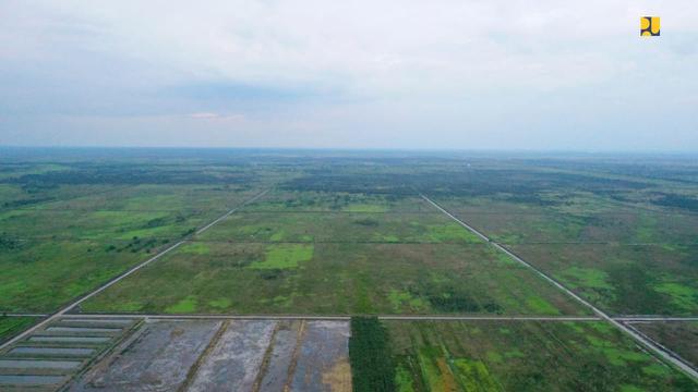 Digarap Per September 2020 Intip Progres Pengembangan Food Estate Di Kalteng Bisnis Liputan6 Com