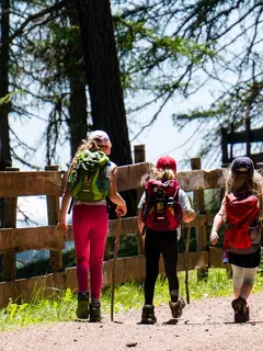 Aktivitas ini tak hanya menyehatkan tubuh, tetapi juga menumbuhkan kepedulian terhadap alam, menjadikannya tren eco sport yang semakin digemari. (Foto: MaBraS/Pixabay)