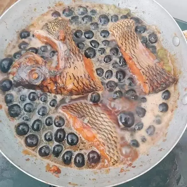 6 Makanan Olahan Ikan Ini Nyeleneh, Bikin Hilang Nafsu Makan