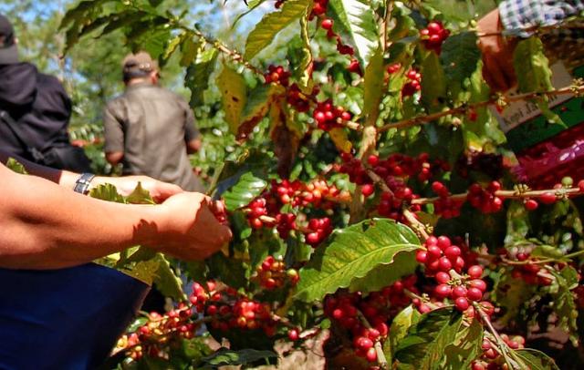 Pengakuan Eksternal dan Prospek