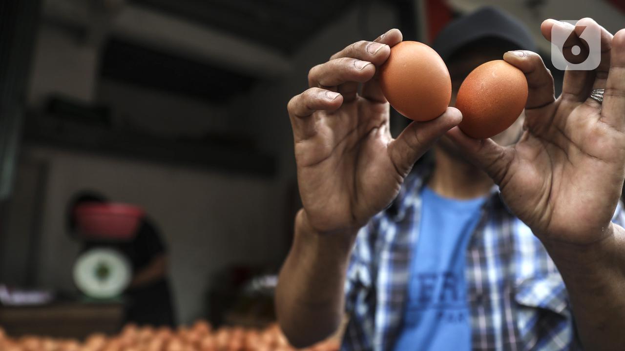 FOTO: Harga Telur Ayam Hampir Sentuh Rp 30 Ribu per Kg