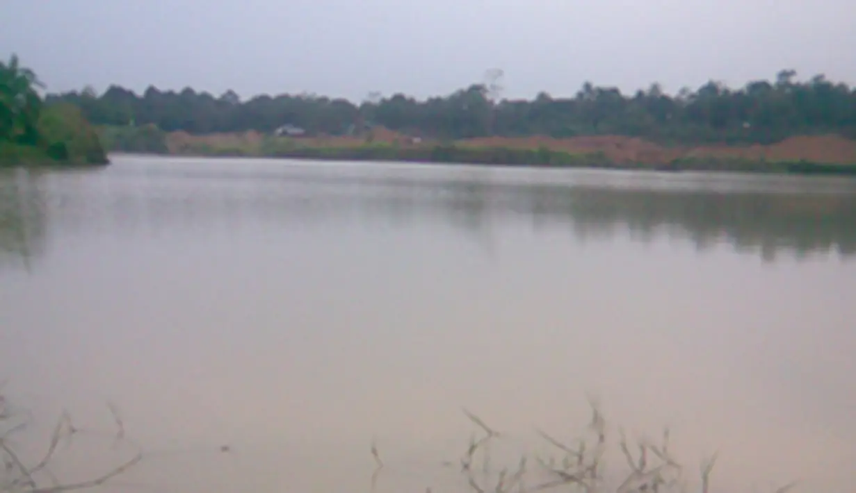 liputan6