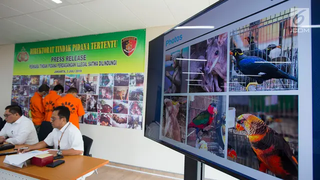 Polisi Tangkap Tiga Tersangka Penjual Kanguru hingga Beruang Madu