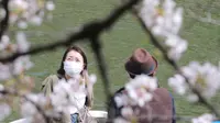 Wisatawan yang memakai masker menaiki perahu dayung sambal menikmati mekarnya bunga sakura di Tokyo, Senin (29/3/2021). Menyaksikan sakura dari atas perahu dayung sambil menyusuri aliran sungai memberikan pengalaman berbeda. (AP Photo/Koji Sasahara)