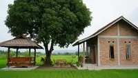 9 Desain Rumah Desa dengan Area Santai Bawah Pohon Mangga, Hunian Sejuk dan Asri