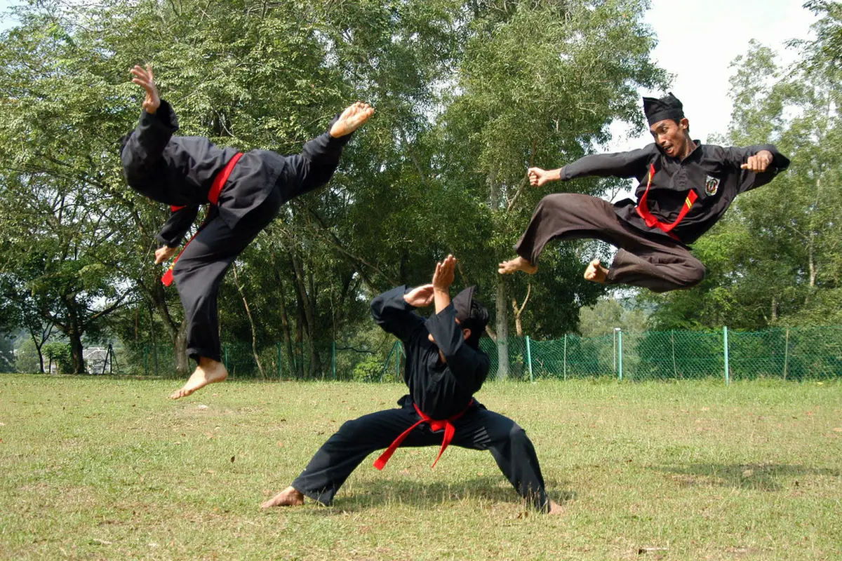 Silat, Seni Beladiri Indonesia yang Memukau Dunia