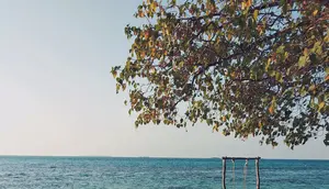 Heboh Pulau Menjangan Kecil Dijual Rp 500 Miliar, Ini Faktanya