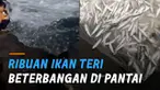 Fenomena yang jarang terjadi itu muncul di siang dan malam hari.