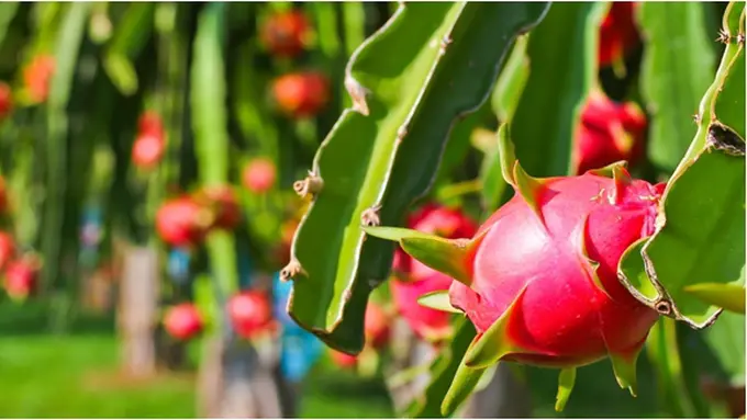 Photo: Copyright Thinkstockphotos.com