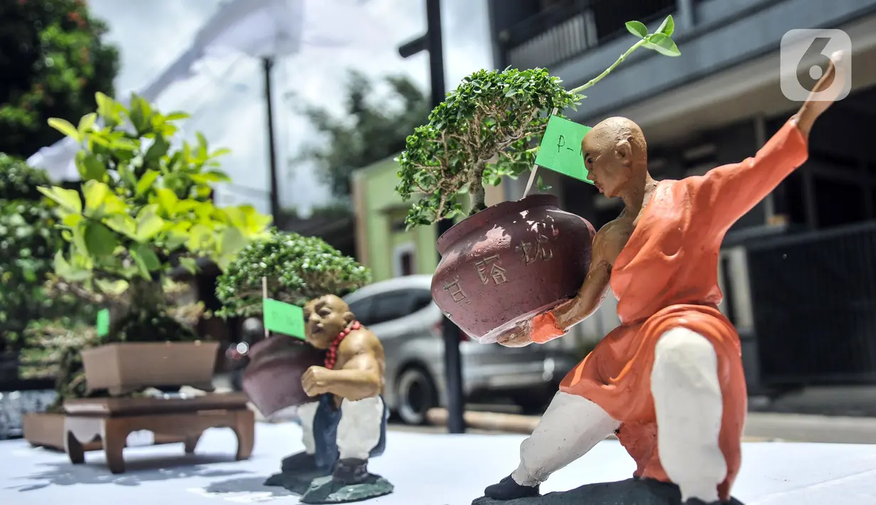 Koleksi pohon bonsai yang dipamerkan dalam acara Jengbreng BSC di kawasan Sawangan, Depok, Jawa Barat, Minggu (6/3/2022). Pameran digelar dalam rangka menjalin silaturahmi bagi pecinta bonsai sekaligus mengedukasi masyarakat tentang seni bonsai. (merdeka.com/Iqbal S. Nugroho)