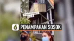 THUMBNAIL penampakan