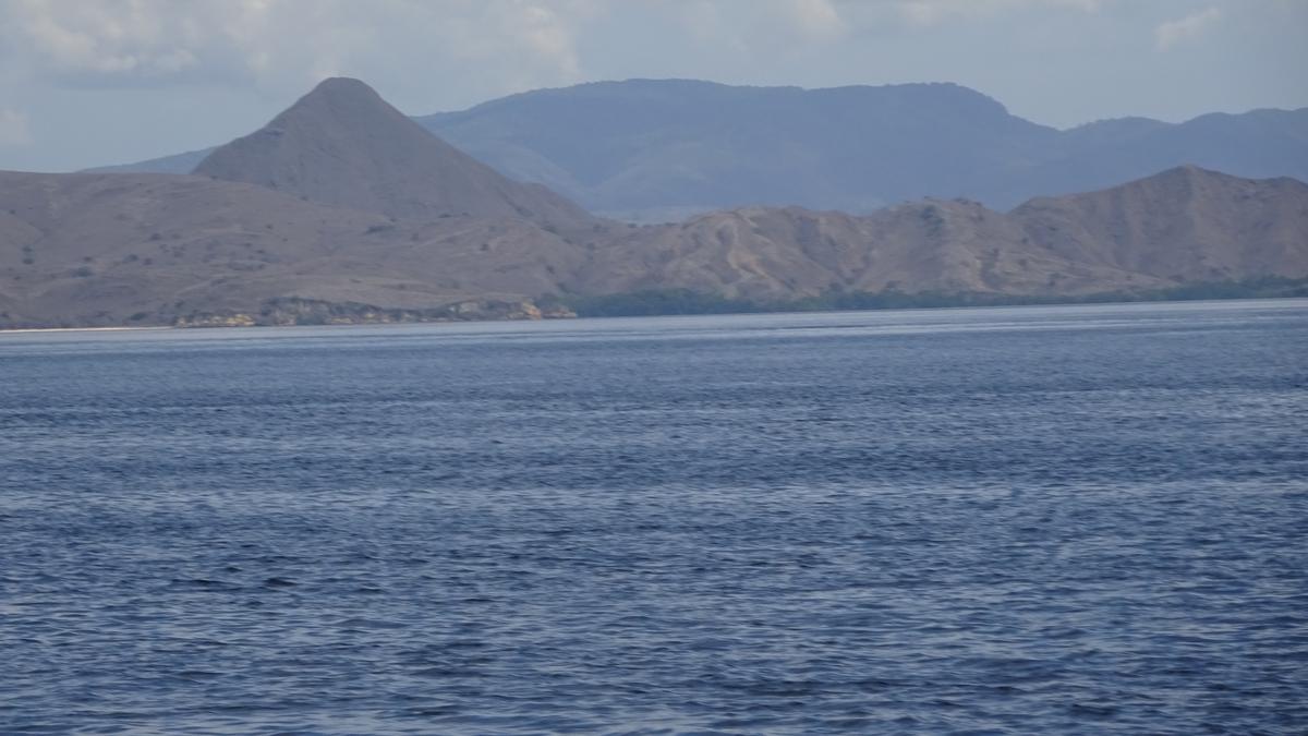 6 Fakta Menarik Gunung Doro Ora, Titik Tertinggi di Pulau Rinca Flores NTT