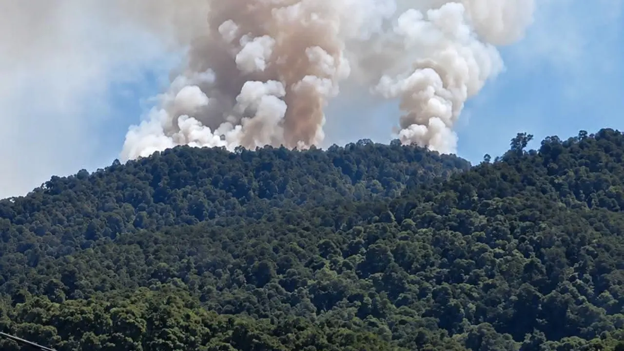 Kebakaran Hutan Gunung Latimojong.