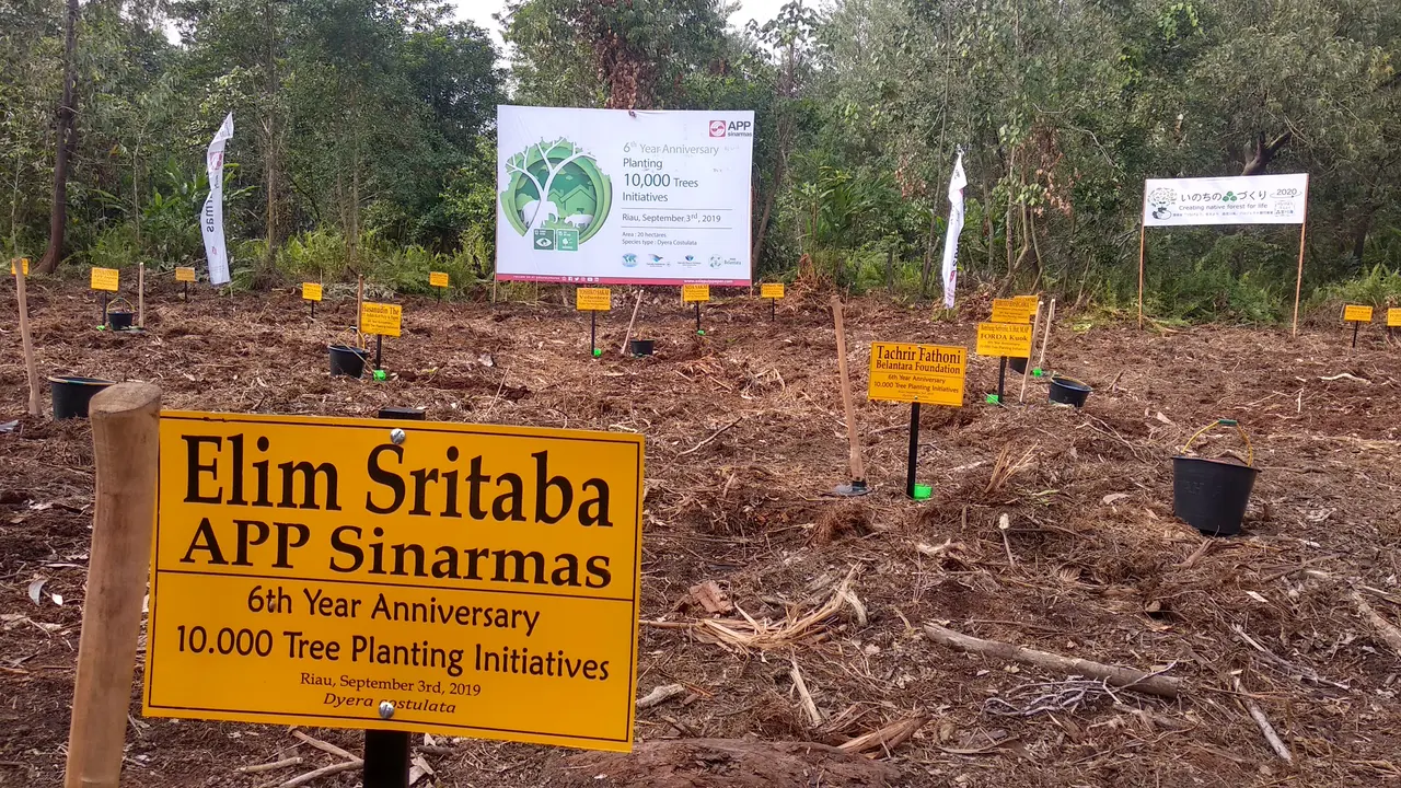 10.000 bibit pohon lokal dan berbagai pohon buah-buahan lokal di area seluas 20 ha di Desa Teluk Rimba, Kecamatan Koto Gasib, Kabupaten Siak, Riau ditanam Sinar Mas