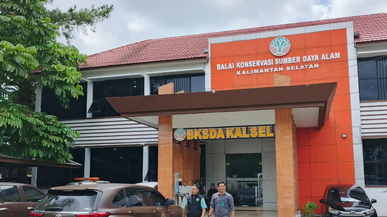 Kejati Kalsel geledah kantor BKSDA. (Liputan6.com/Aslam Mahfuz)
