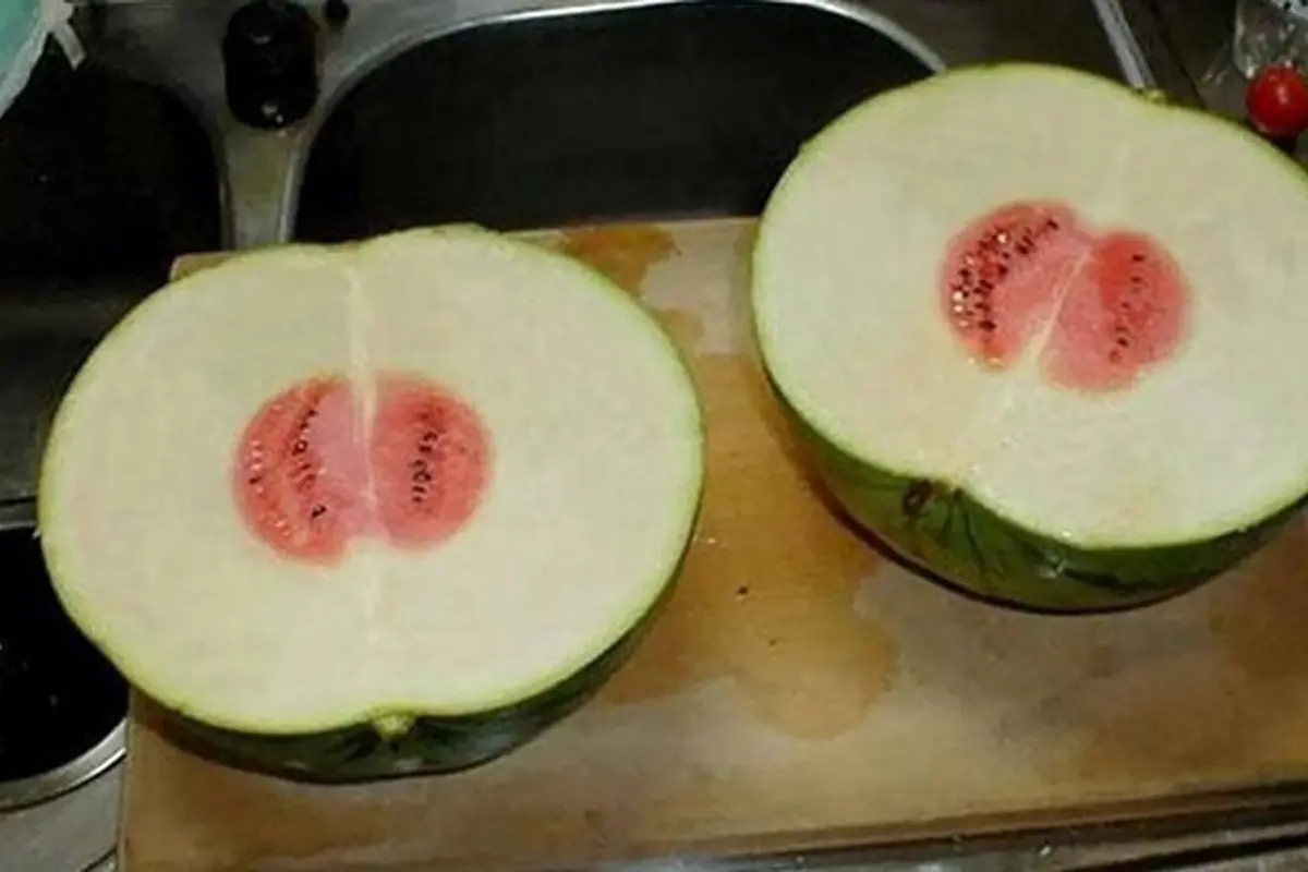 6 Momen Apes saat Mau Makan Buah Ini Bikin Kecewa