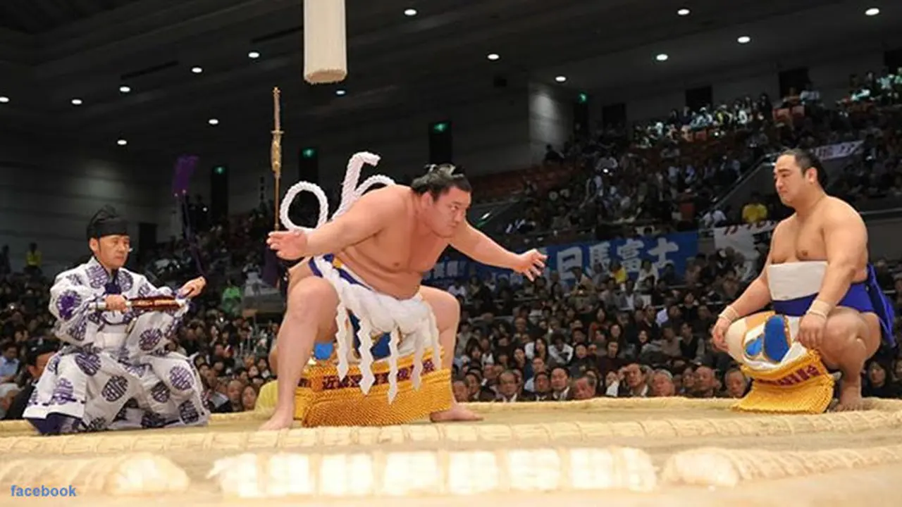 sumo-130824b.jpg
