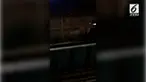 Sebuah helikopter sengaja dijatuhkan oleh sang pilot di South Side of Chicago, Amerika Serikat. Ini dilakukan demi menyelamatkan nyawa.