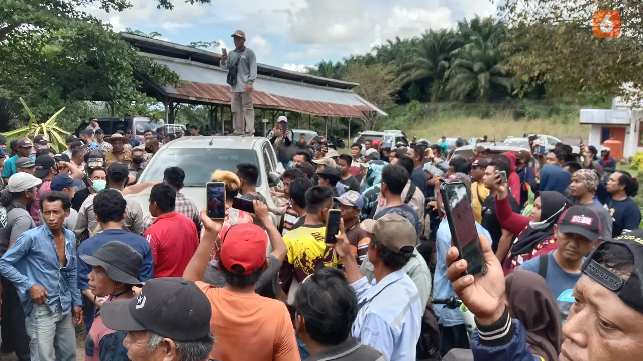 Demo Kelapa Sawit