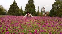 Taman bunga nusantara (sansan__lim/instagram.com)