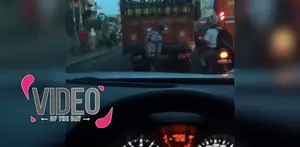 Aksi Bajing Loncat Terekam Kamera