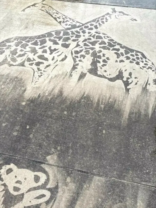 Pria Ini Pakai Tekanan Air untuk Ciptakan Karya Seni, 7 Hasilnya Mengagumkan