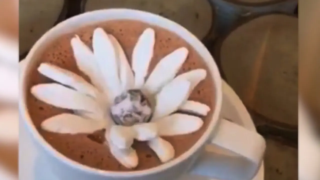 [Bintang] Menyaksikan Uniknya Marshmallow Mekar di Atas Cokelat Panas
