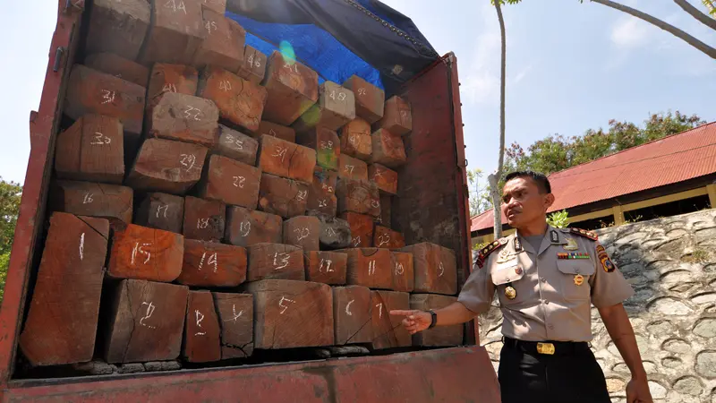 3 Pelaku Illegal Logging Ditangkap di Palu