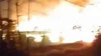 28 Ribu Anak Ayam Terbakar di Banyuwangi, Kerugian Tembus Rp 2,5 M