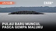 Heboh! Pulau Baru Muncul Pasca Gempa Magnitudo 7.9 di Tanimbar Maluku